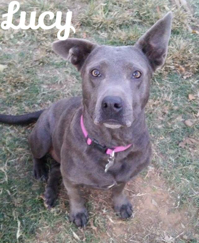 Lucy